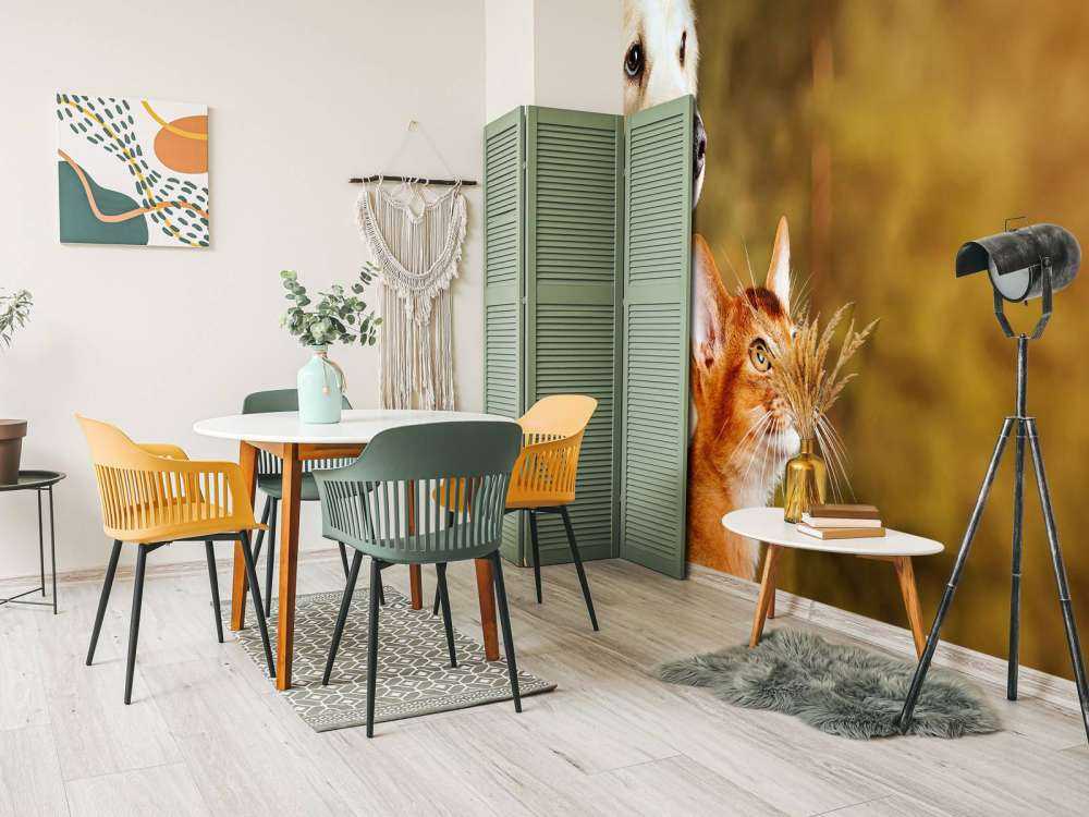 Hond en kat kijken naar boven