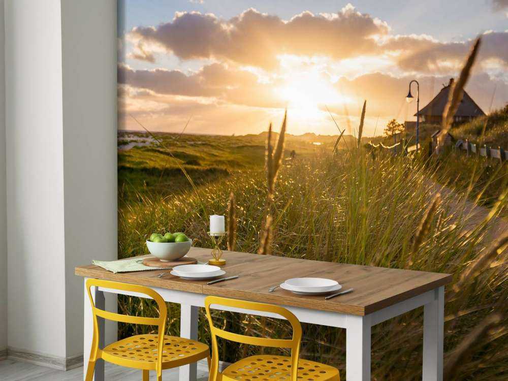 Riet bij zonsondergang