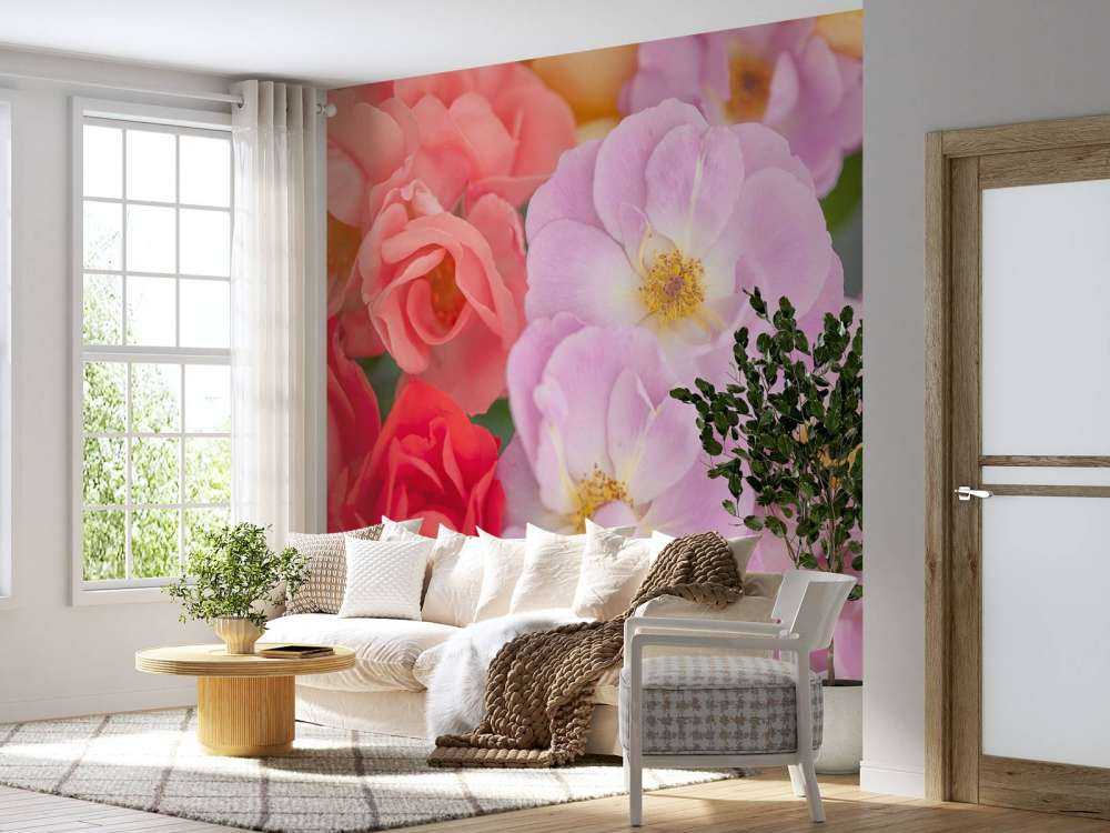 Kleurrijke bloemsoorten