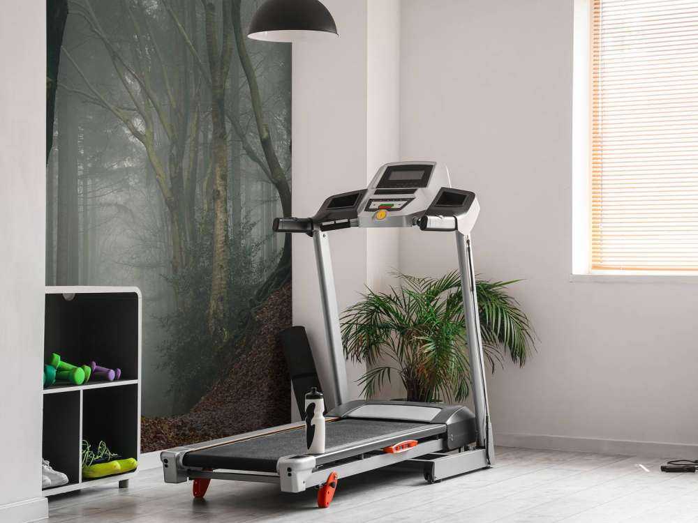 Pad door mysterieus bos