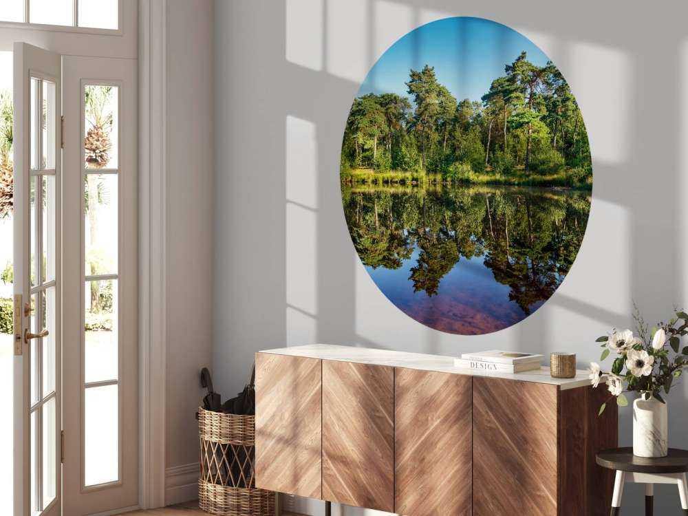 Weerspiegeling in bosven