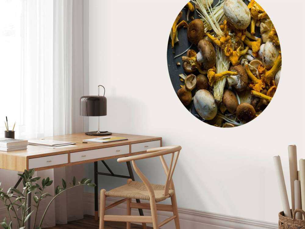 Verschillende paddestoelen