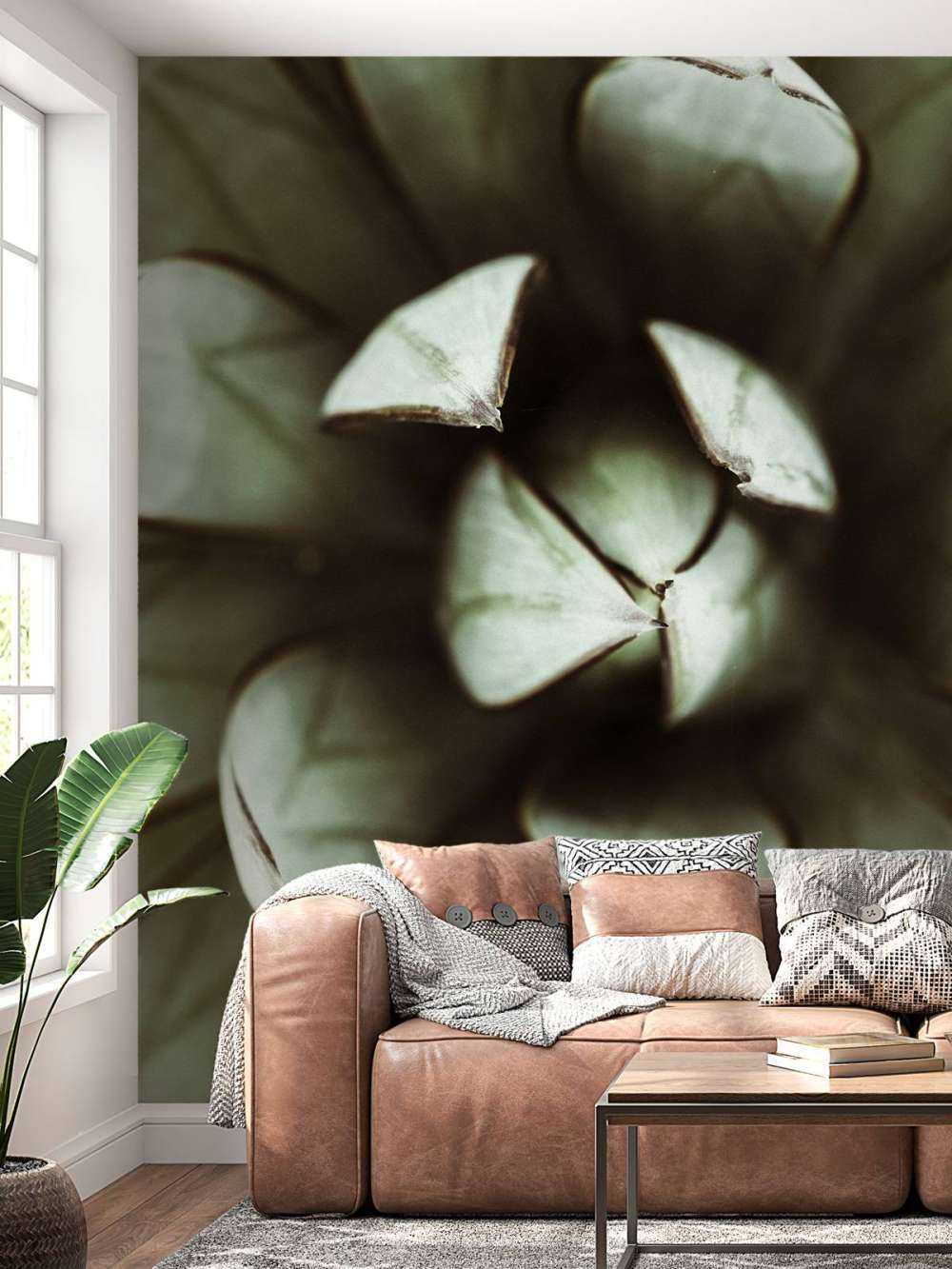 Vetplant