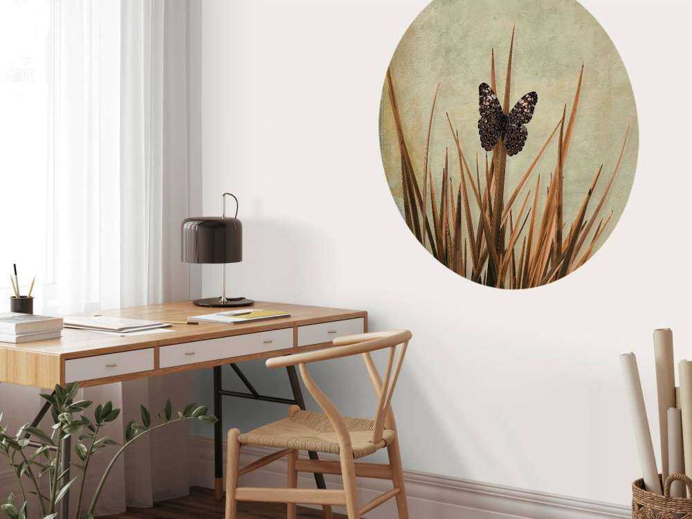 Vlinder bij oude muur