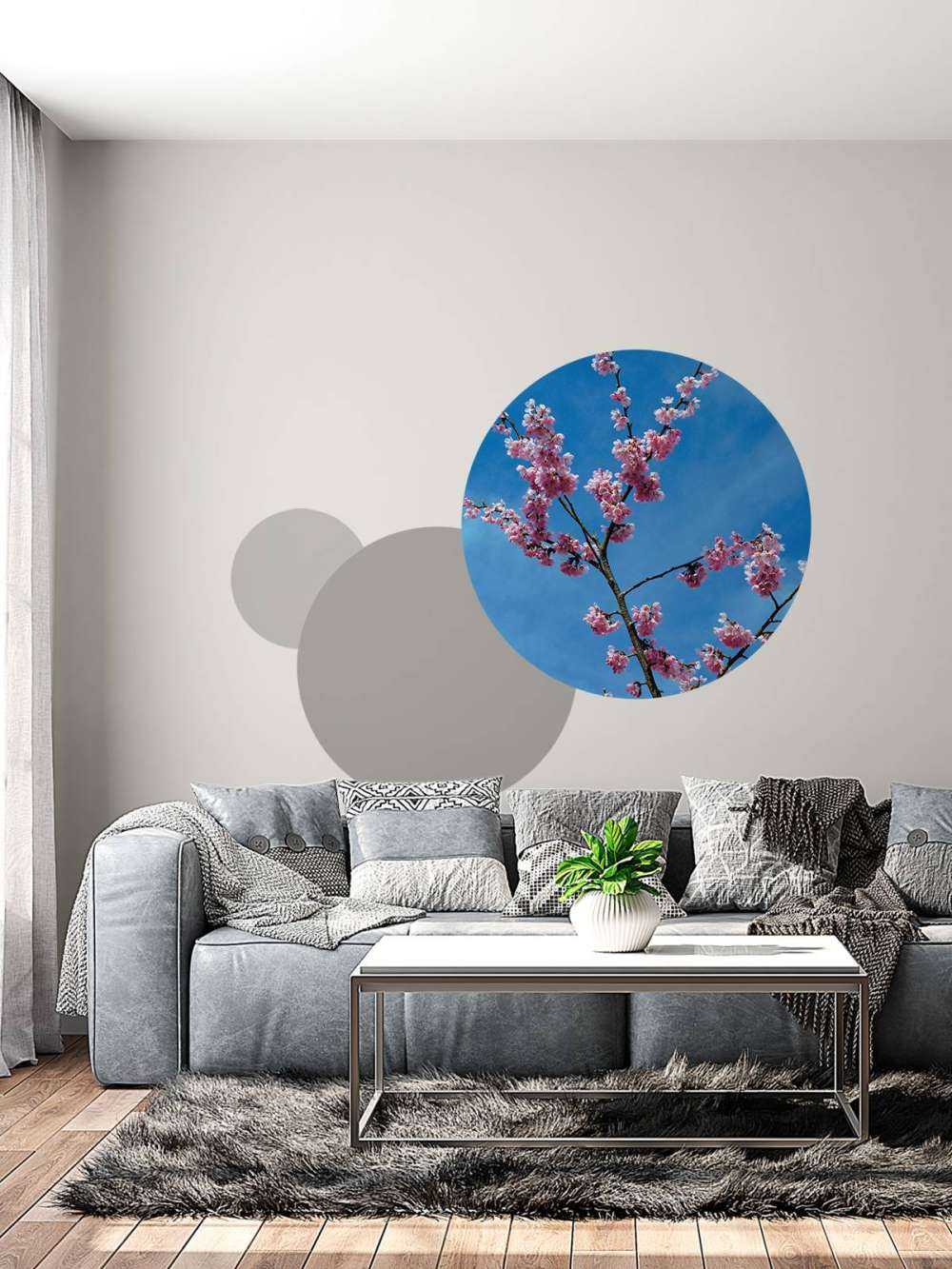 Japanse roze bloesems