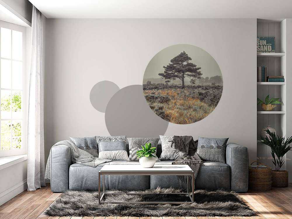 Boom op het platteland