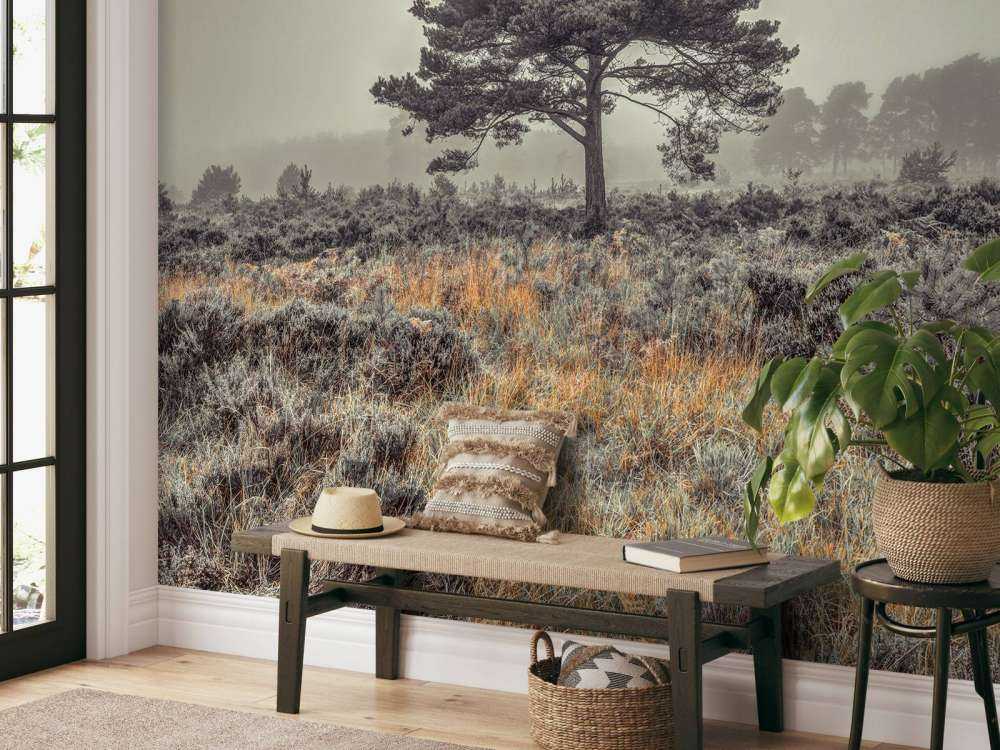 Boom op het platteland