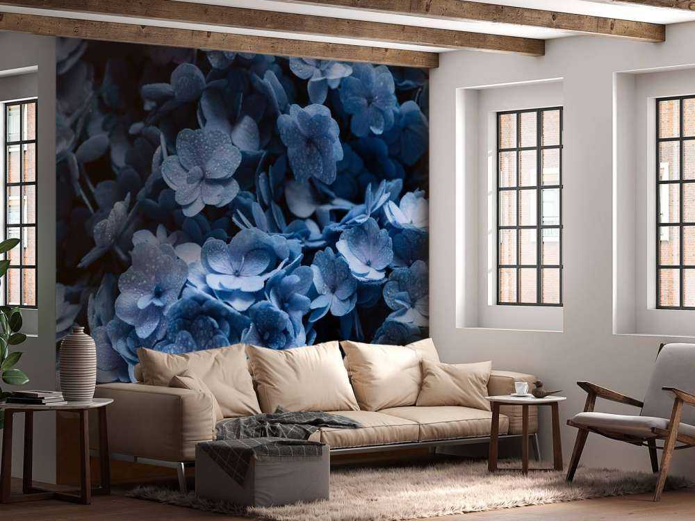 Close-up hortensia's