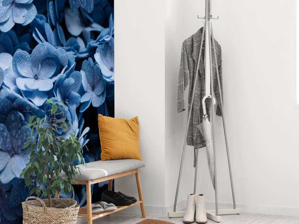 Close-up hortensia's