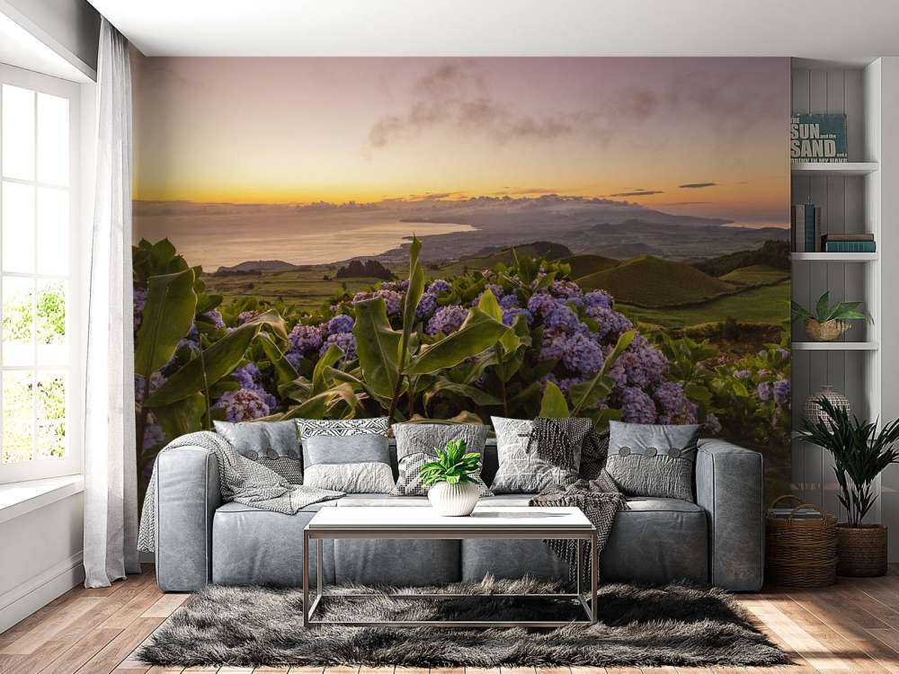 Zonsondergang met hortensia's