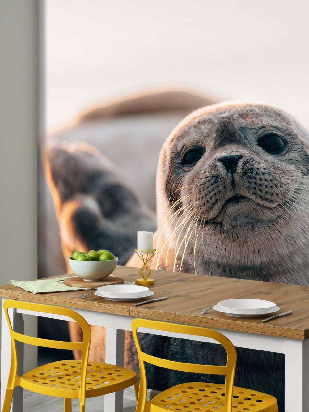 Zeehond op strand in avondlicht