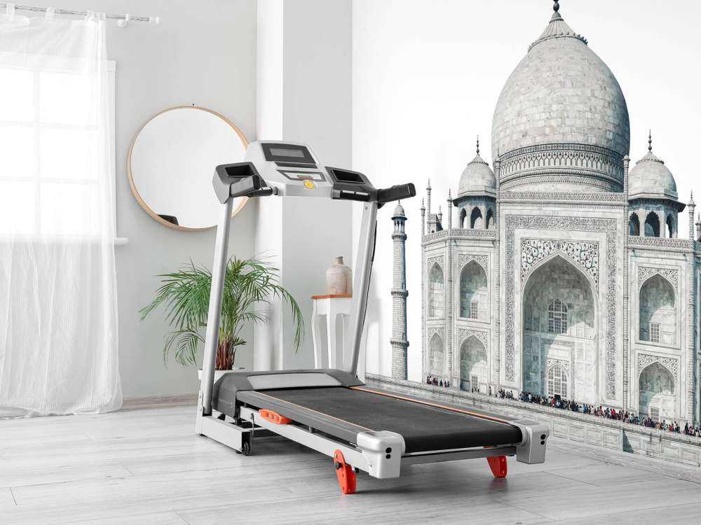 Taj Mahal in zwart-wit