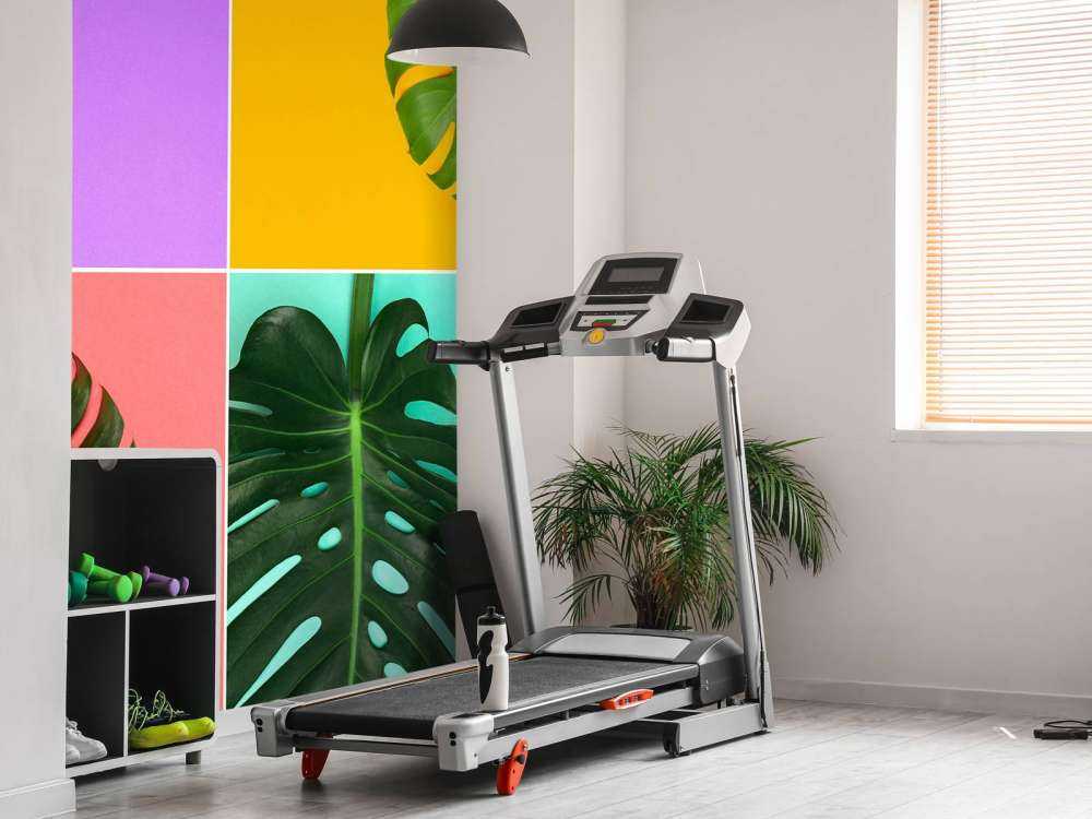 Plant met verschillende kleuren