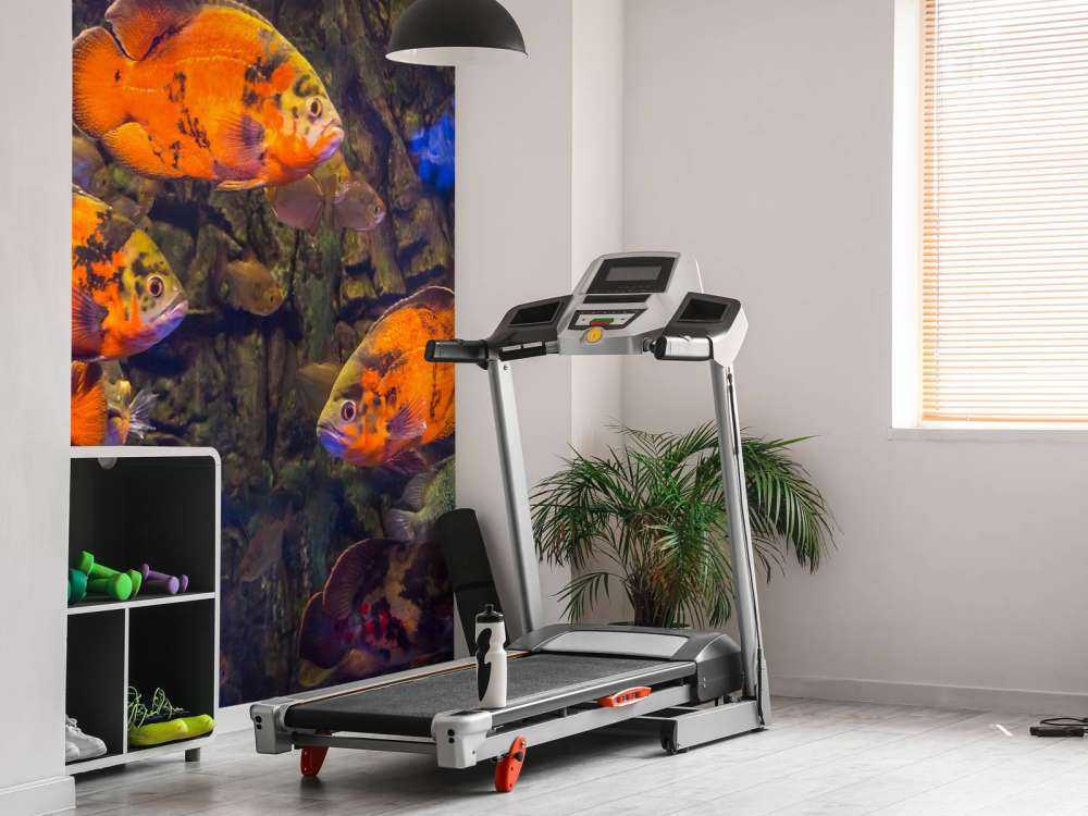 Tropische vissen en algen