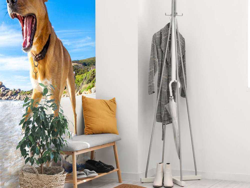 Hond in de zomer op het strand