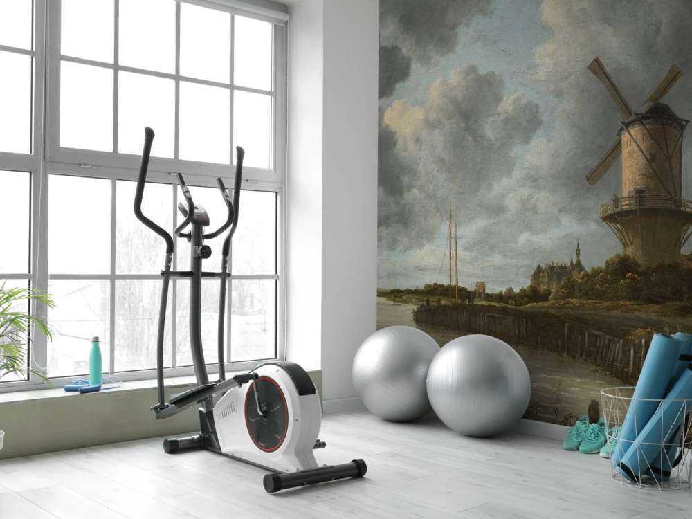 De molen bij Wijk bij Duurstede