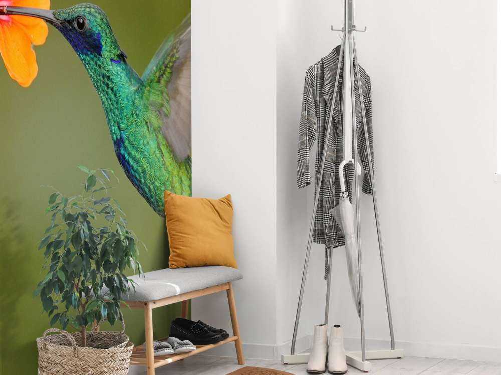 Kleurrijke Kolibrie op Bloem