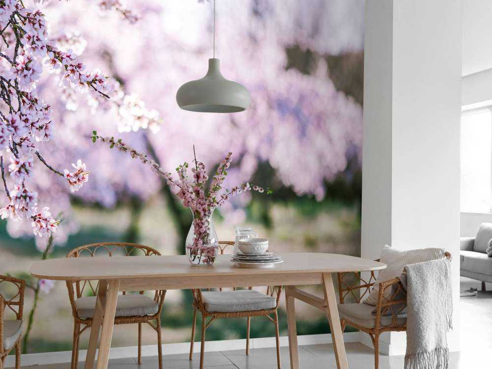 Bloeiende Amandelbomen