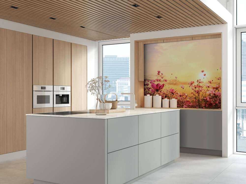 Kosmos Bloem tijdens Zonsondergang