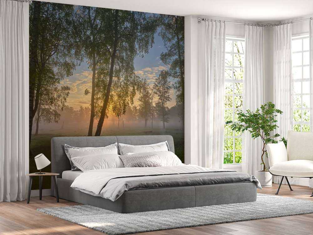 Zonsopgang bij de berken