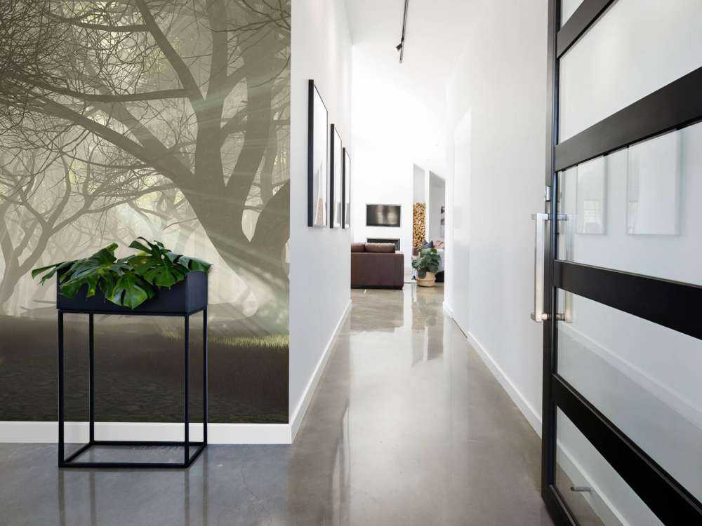 Mysterieus donker bos