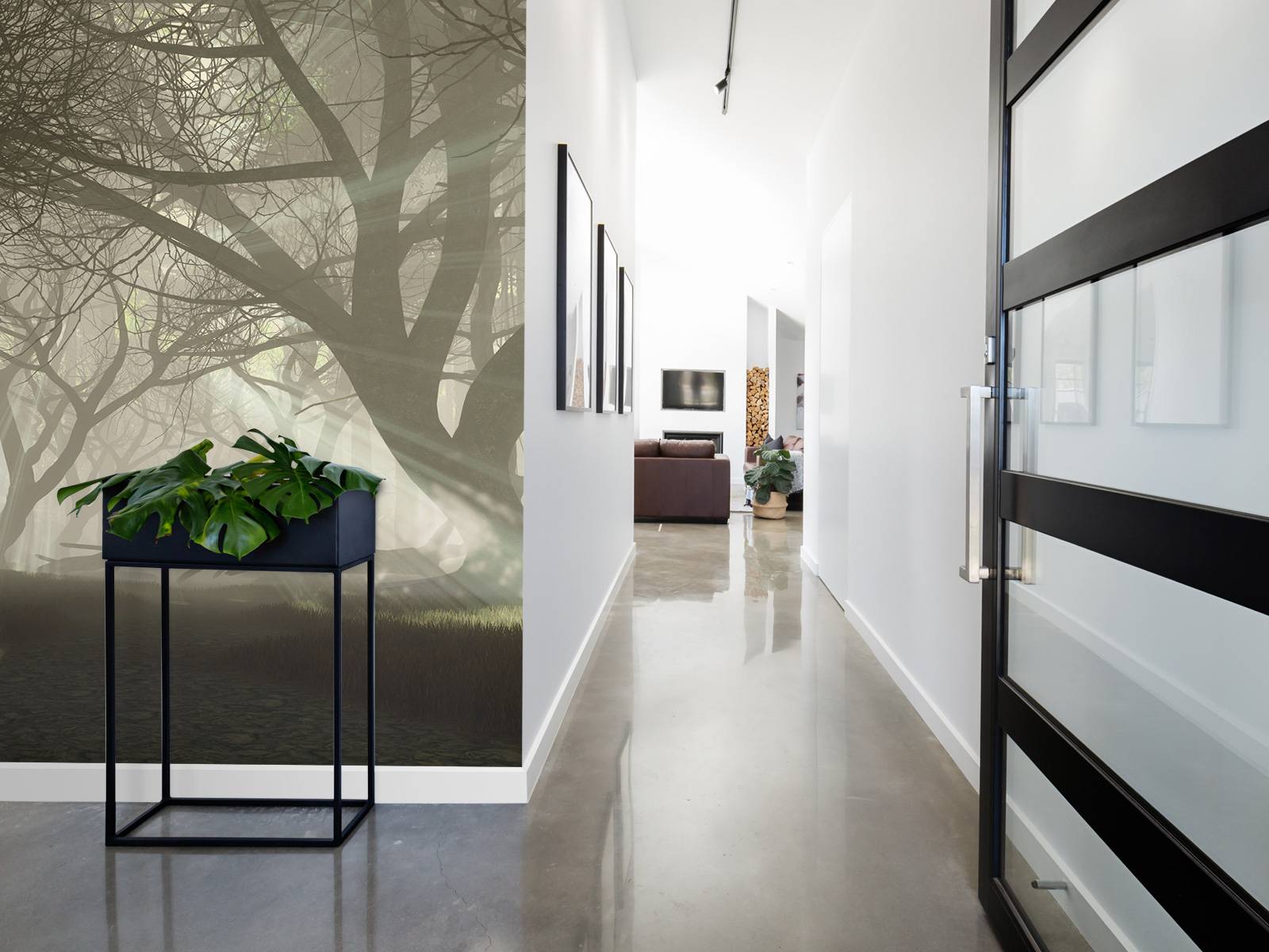 Mysterieus donker bos - Fotobehang, image size:1600x1200