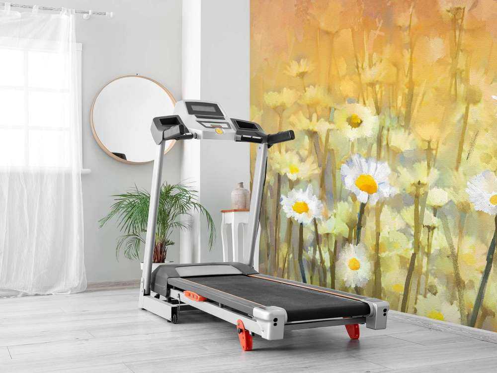 Olieverfschilderij van kamille bloemen