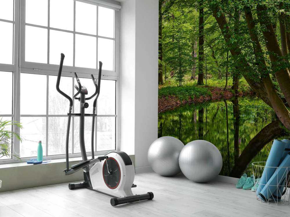 Gebogen bomen aan het water