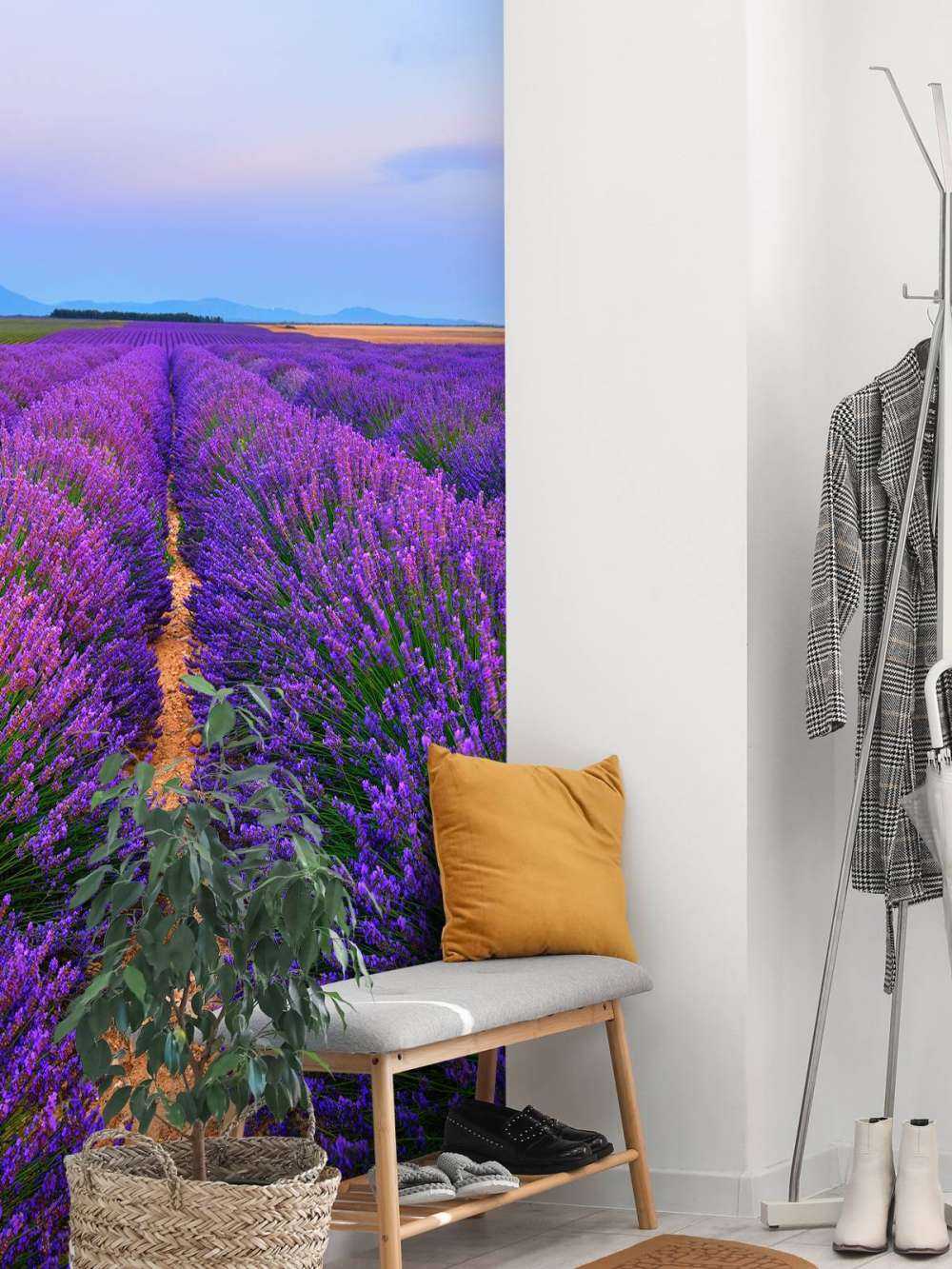 Lavendel landschap met bergen