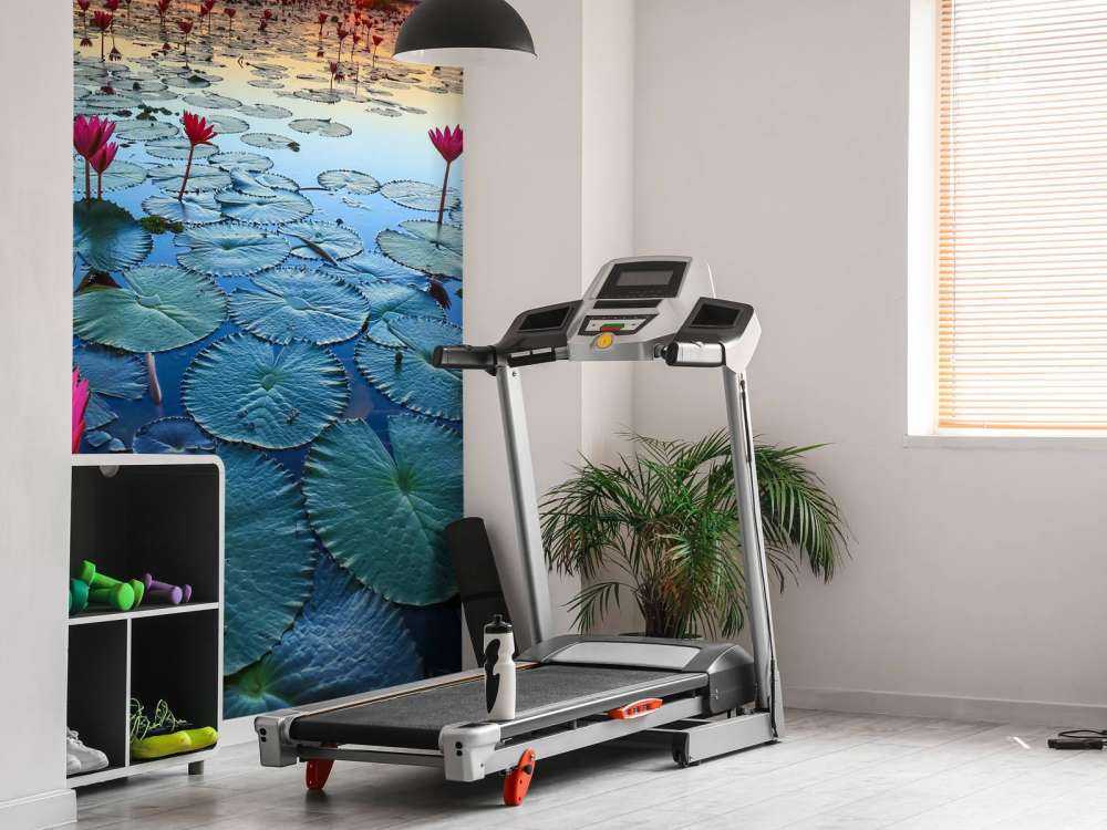 Lotusbloem bij zonsopgang