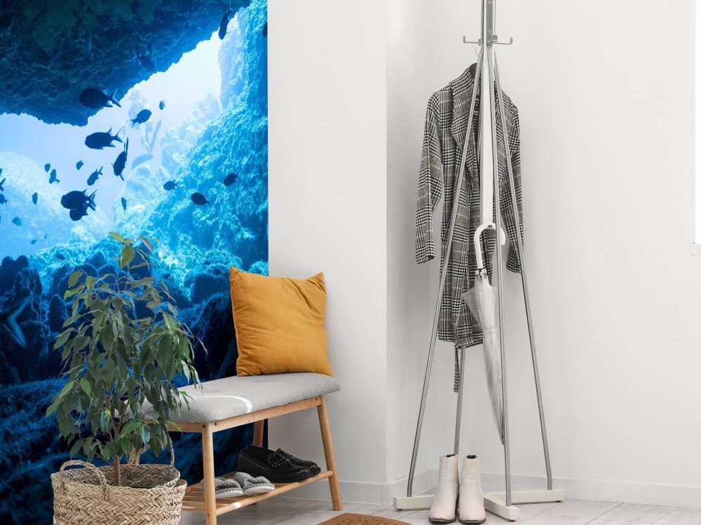 Smalle grot met vissen