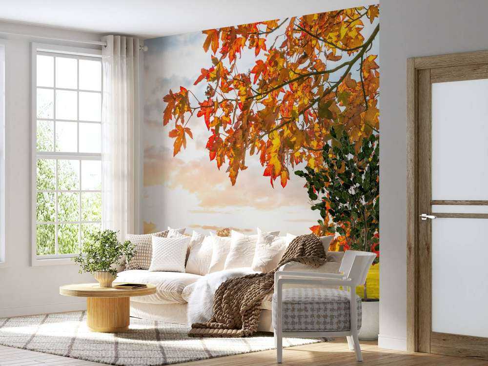 Herfstboom bij zonsondergang