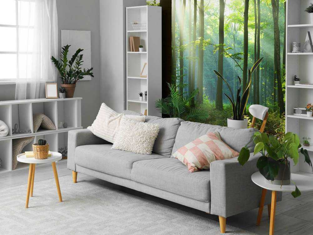 s Ochtends in het bos