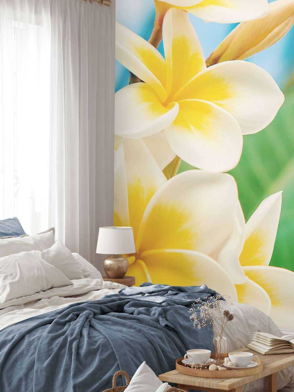 Wit gele Plumeria bloemen