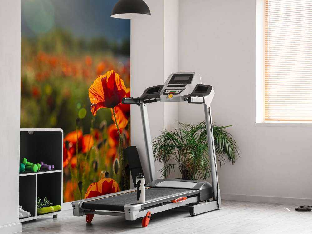 Klaprozen met zonnestralen