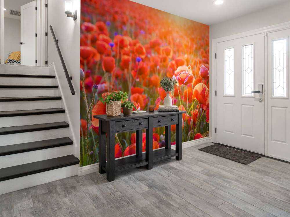 Klaprozen close-up bij zonsondergang