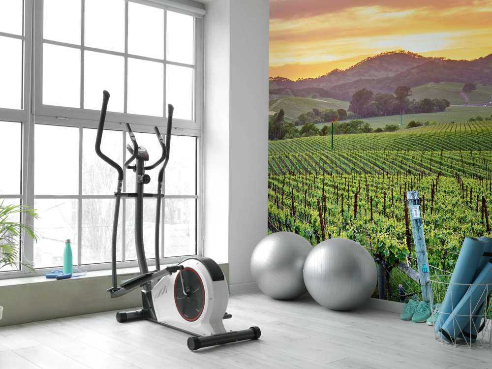 Wijngaard in Californië