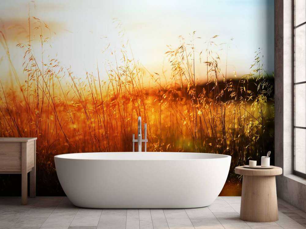 Een zonnige dag op de weide