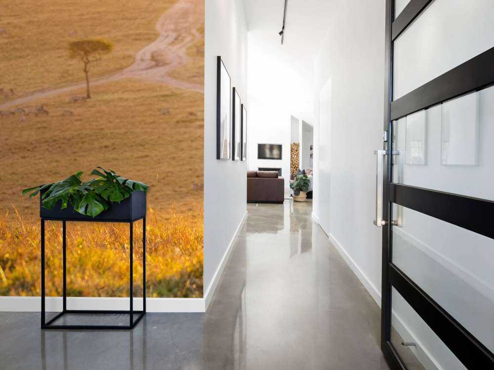 Zebra maakt een wandeling bij zonsondergang