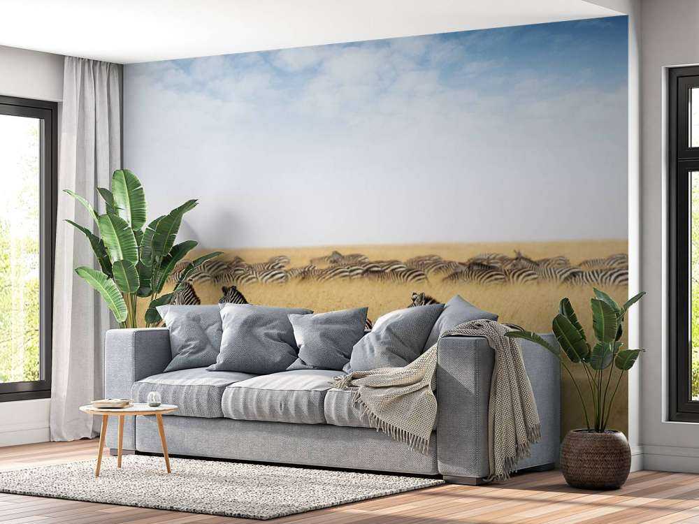 Kudde zebra's in Kenia