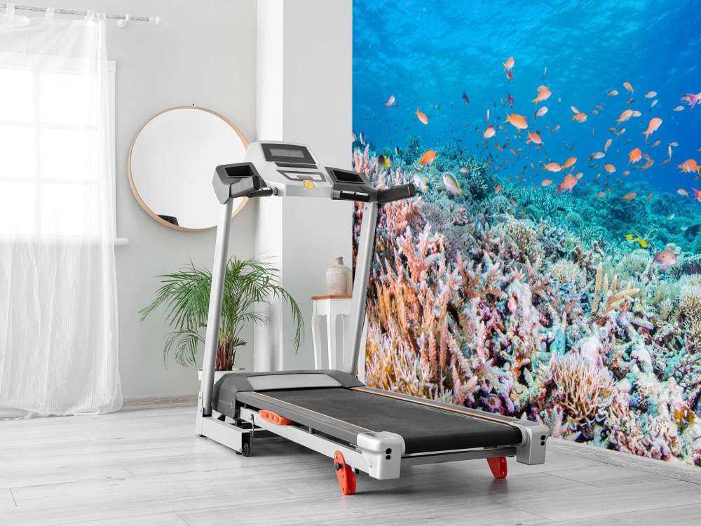 Koraalrif met kleine visjes