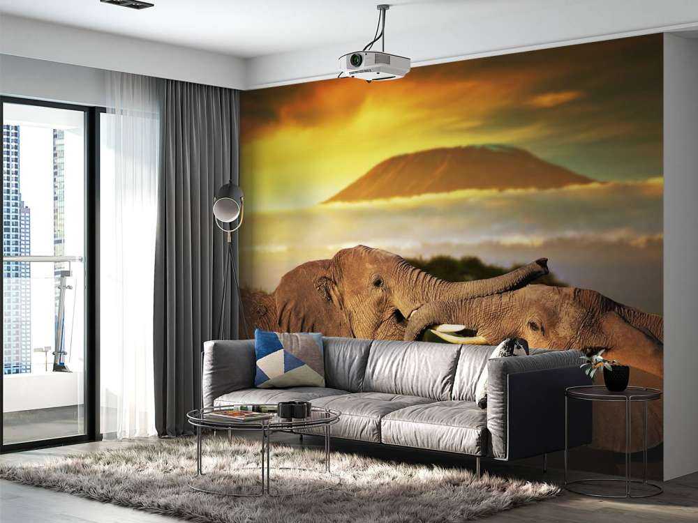 Olifanten spelen bij zonsondergang