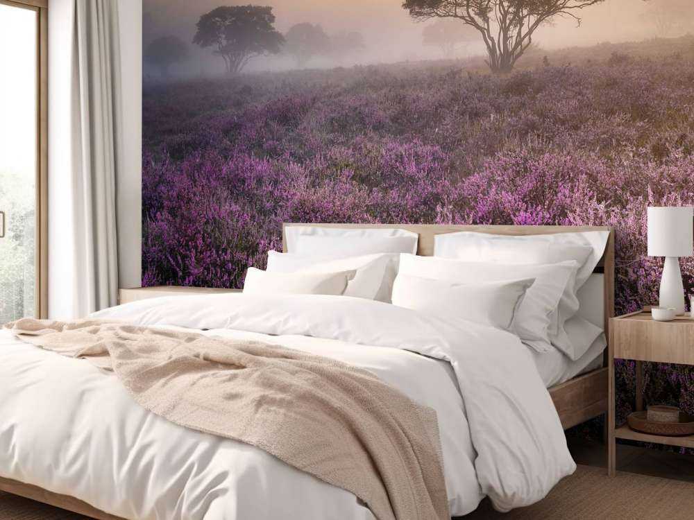 De Veluwe in de vroege ochtend