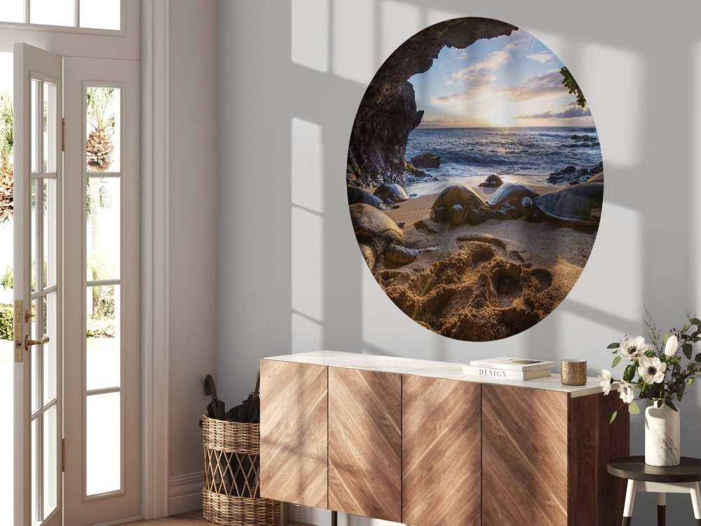 Schildpadden in een grot