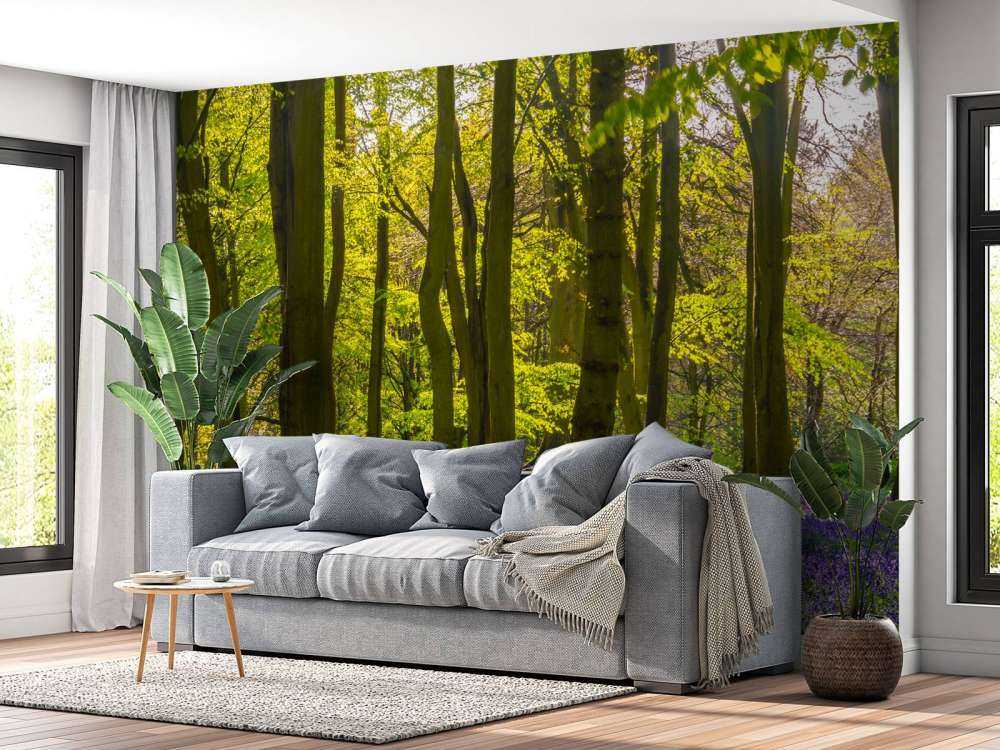 Bos met veel lavendel