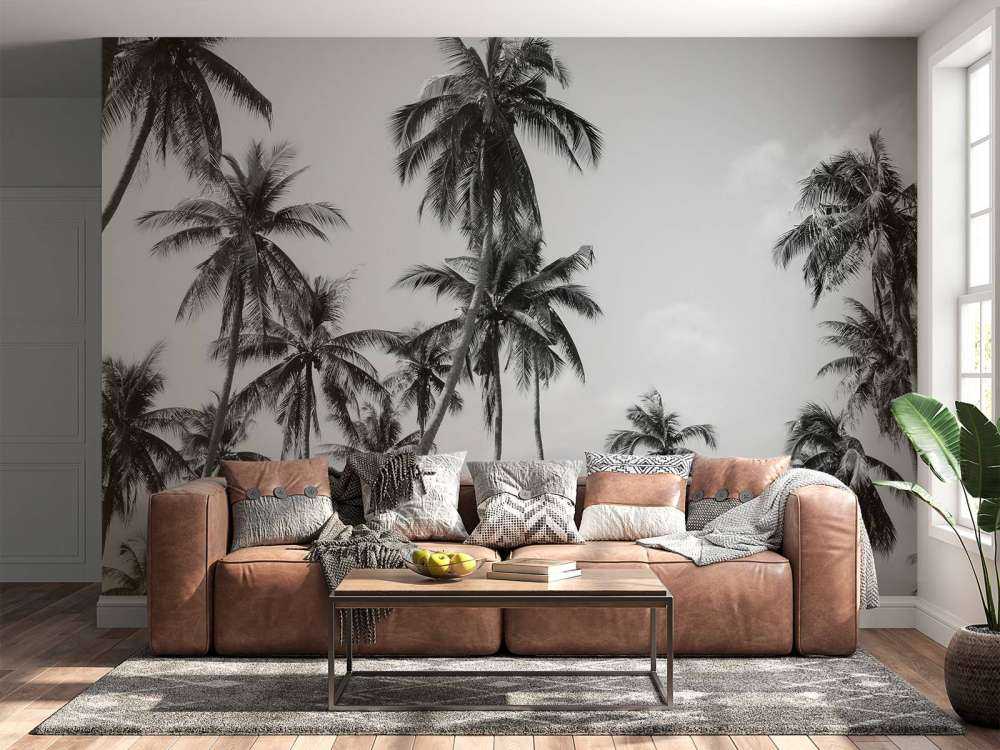 Palmbomen in zwart-wit
