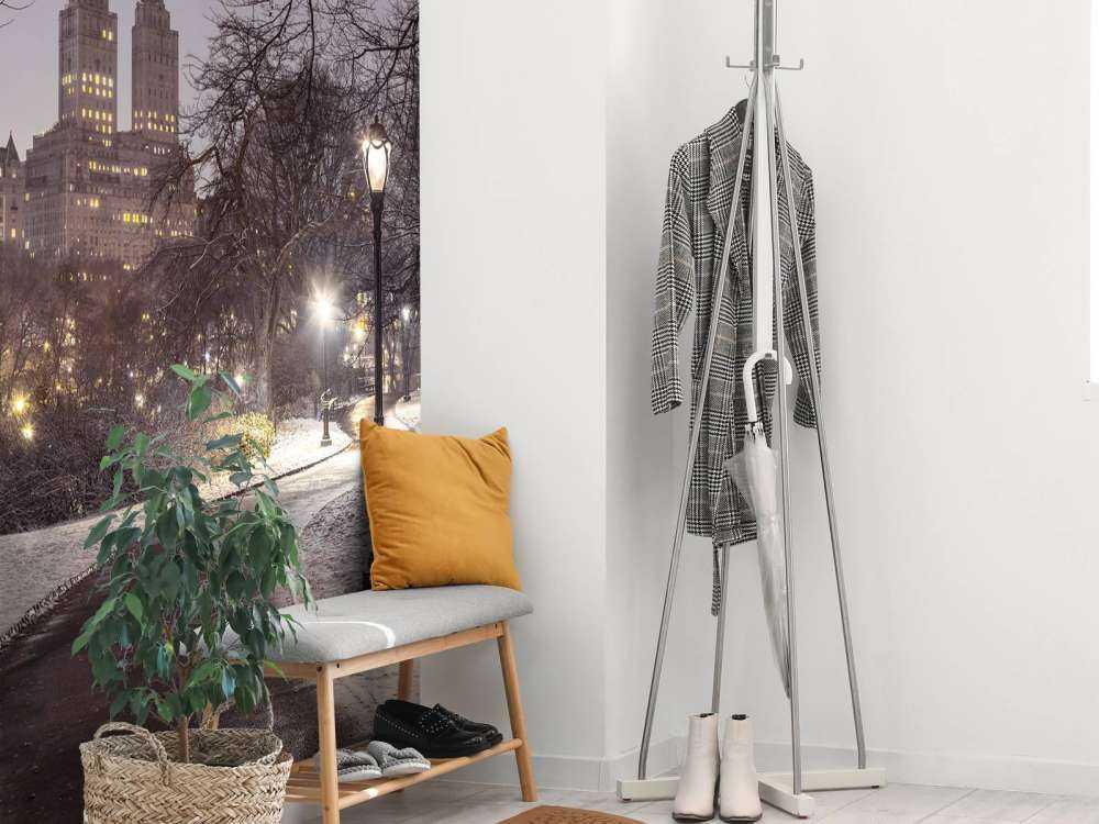 Besneeuwd Central park