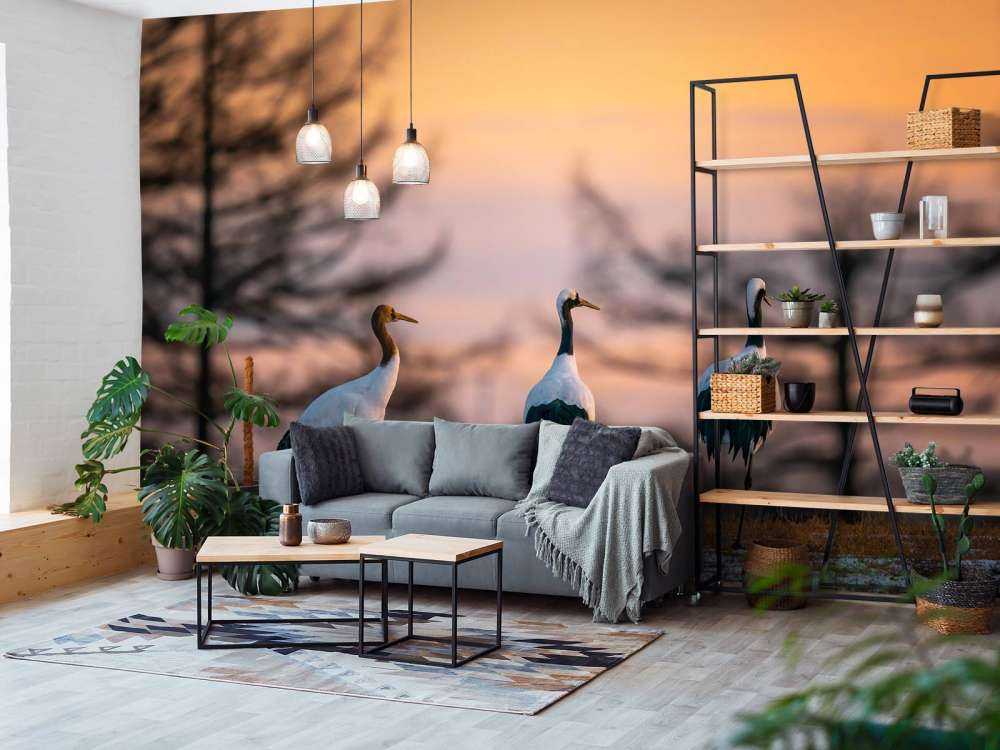 Kraanvogels bij zonsondergang