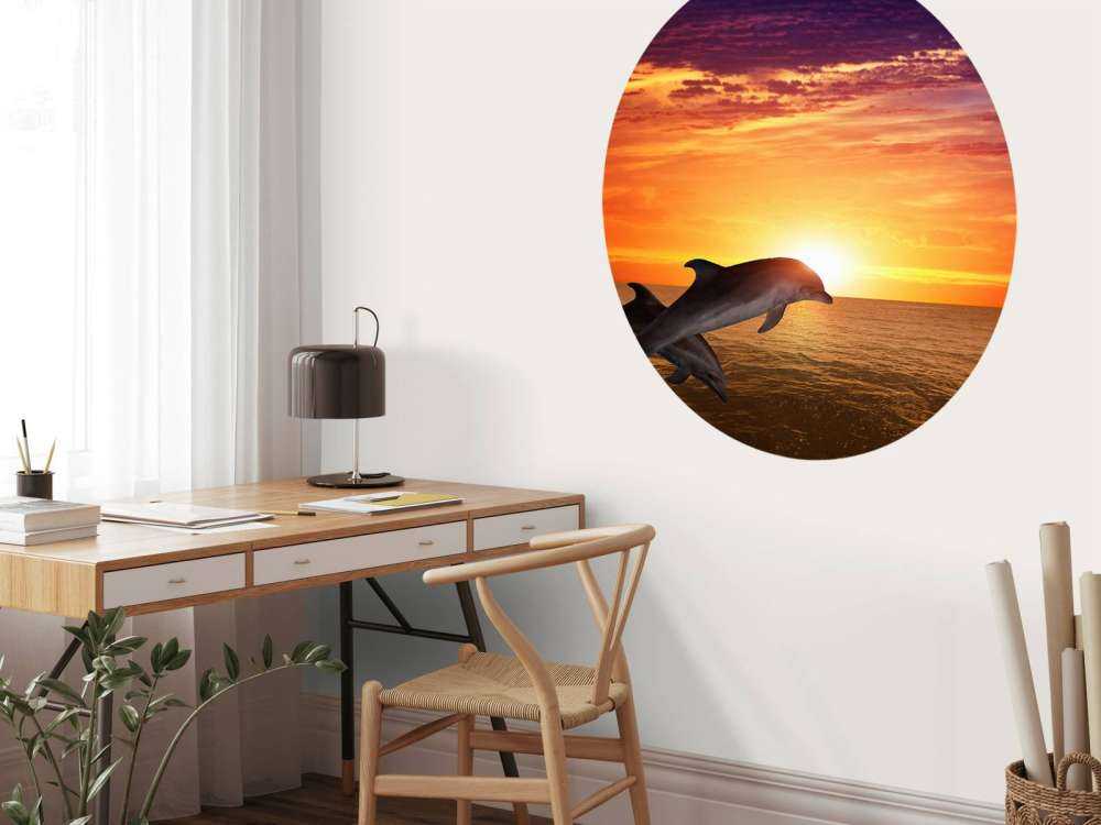 Dolfijnen in avondzon