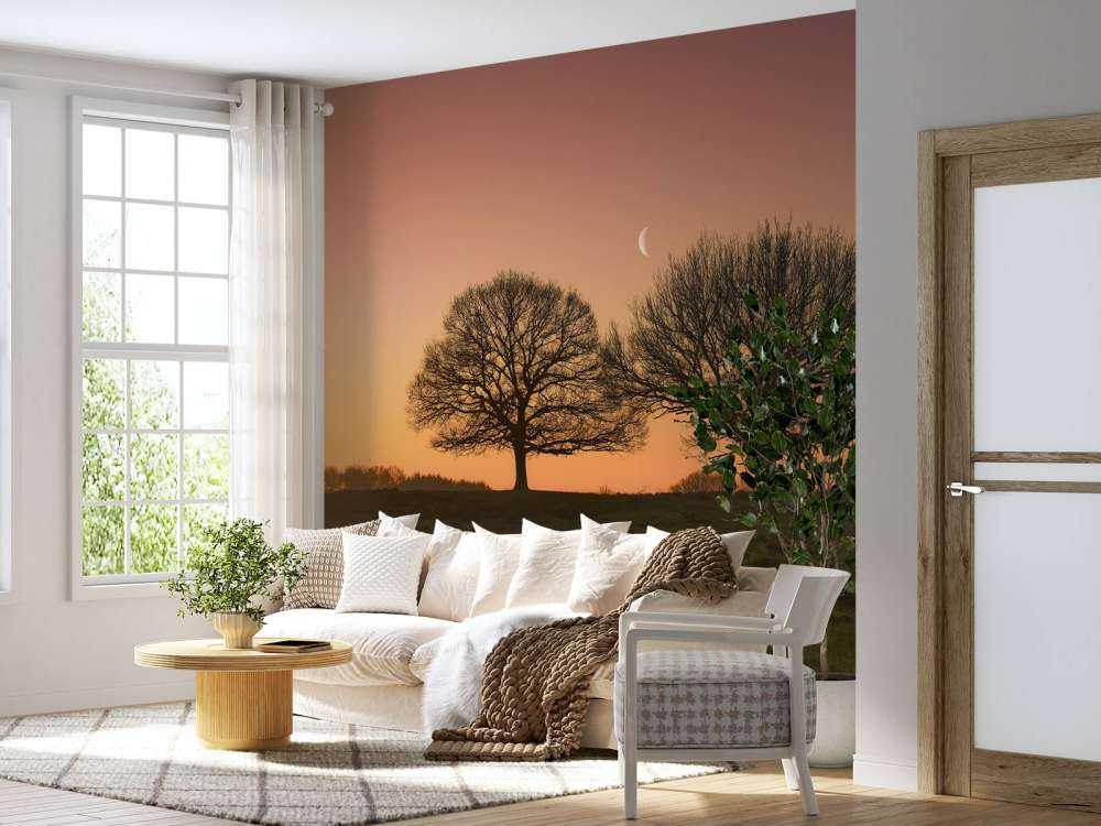 Maantje tussen de bomen